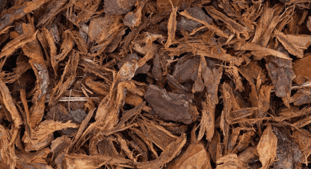 Boomschors Pin Maritime 20/40 Droog bij jatu beschikbaar op 3 afhaalpunten