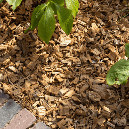 Belgische Houtsnippers als ecologische bodembedekker