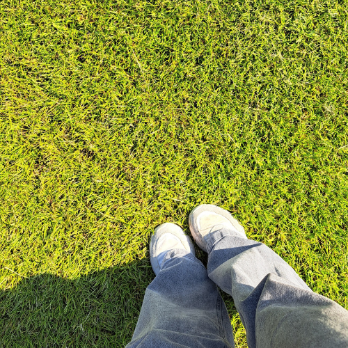 Alles voor gazon kopen, graszaad, substraat en grasdallen - Jatu.be webshop voor tuin- en bodemproducten