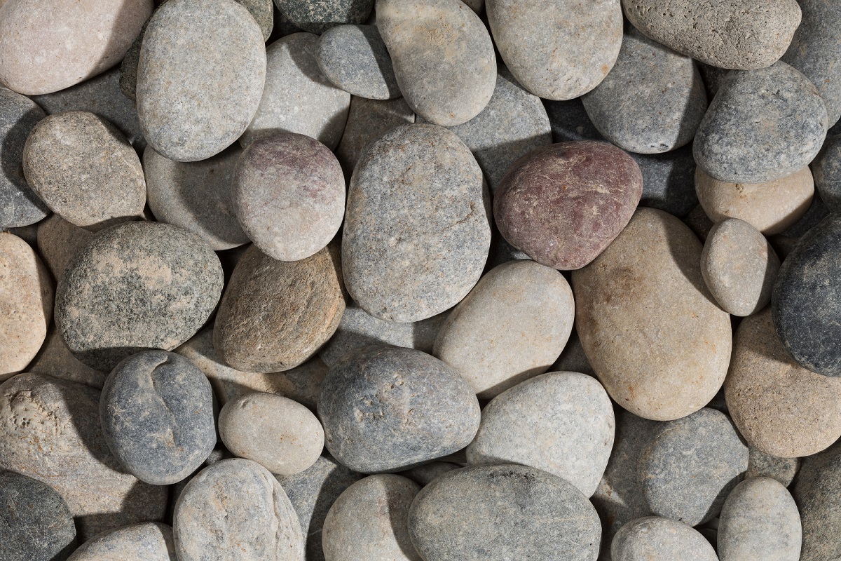 Beach Pebbles kopen, Flat Gray 30 tot 60 mm. Elegante vlakke keien als bodembedekking - Jatu.be grindwebshop