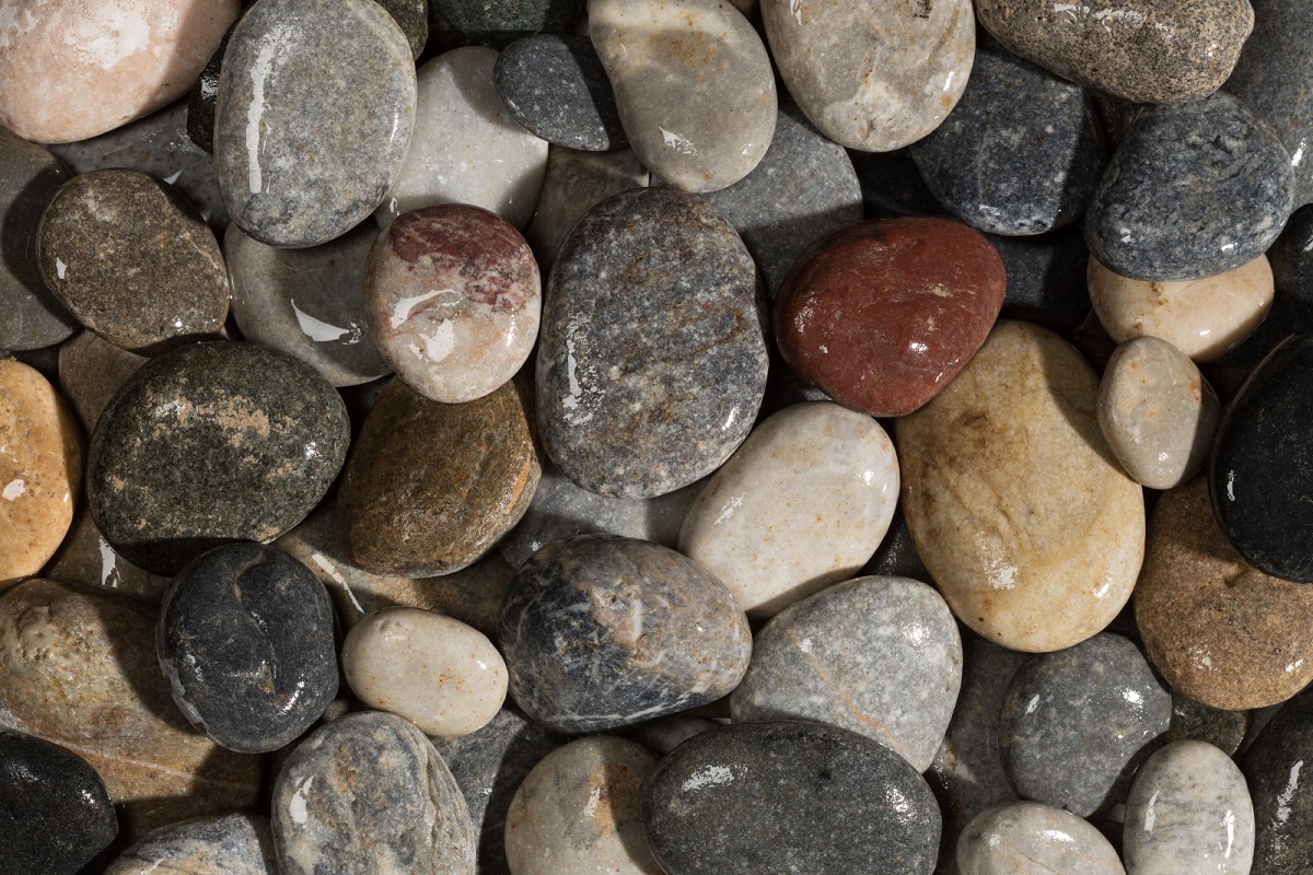 Beach Pebbles kopen, Flat Gray 30 tot 60 mm. Elegante vlakke keien als bodembedekking - Detail product nat - Jatu.be grindwebshop