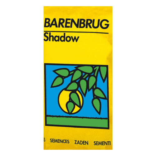 Barenbrug graszaad kopen, Shadow - Jatu.be