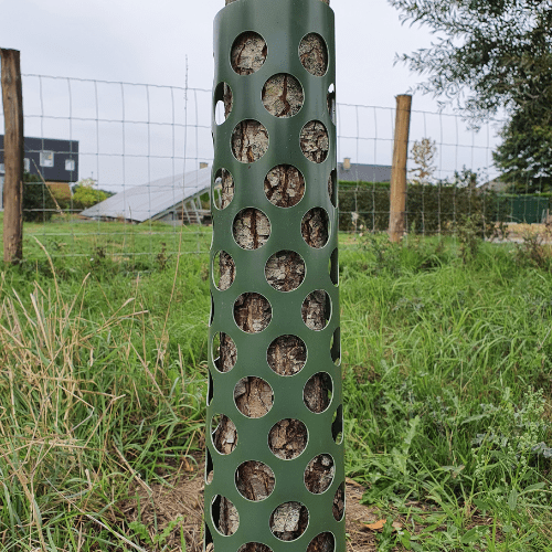 Boom planten met boombescherming, ECCO Tree Guard beschermt jonge bomen en verhoogt slaagkansen - Jatu.be