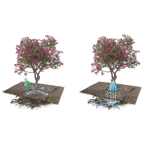 Hoe werkt een boom waterzak? - Infographic Jatu.be webshop voor tuin- en bodemproducten