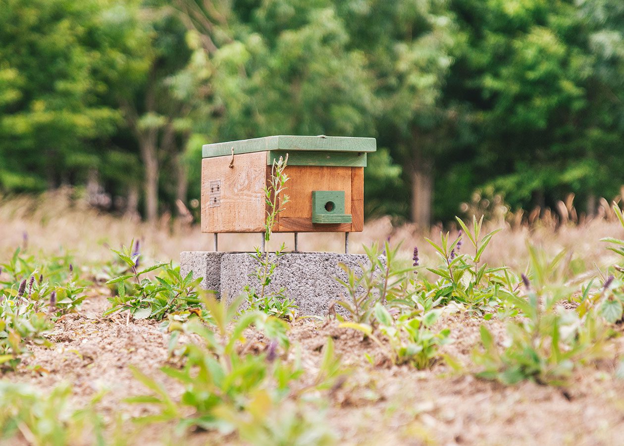 Hommelkast voor in de tuin