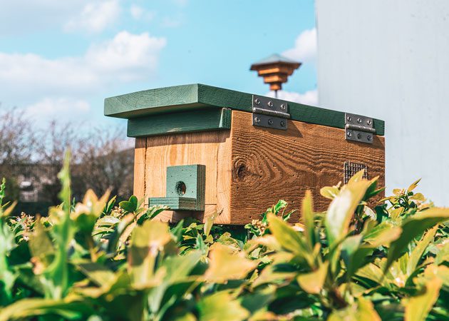 nestkast voor hommel in de tuin bij bloemen