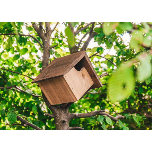 Voorbeeld hoe nestkast wordt opgehangen in de tuin