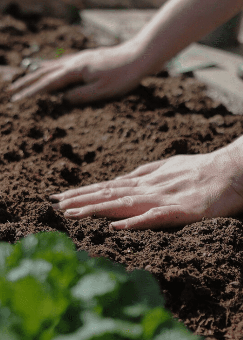 Tuingrond en bodemverbeteraar kopen - Jatu.be