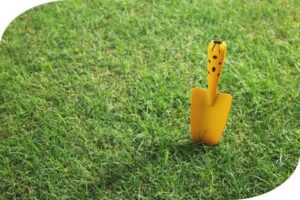 meststoffen groen gazon Jatu