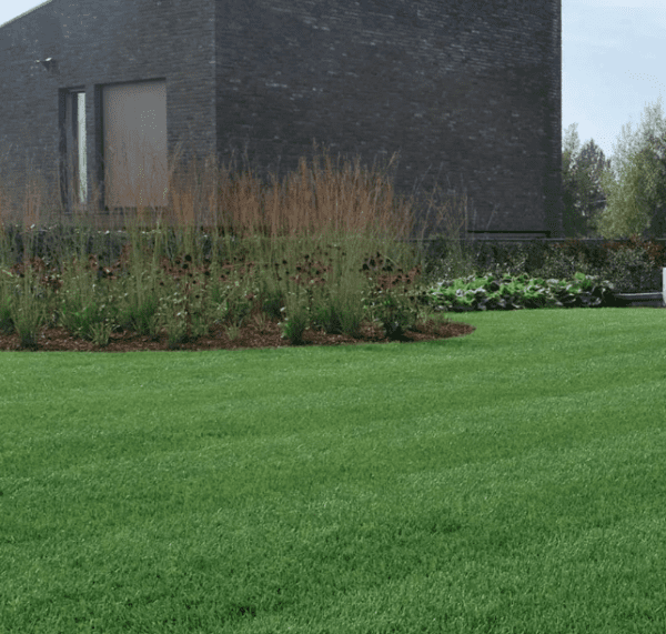 advanta presto grasgazon